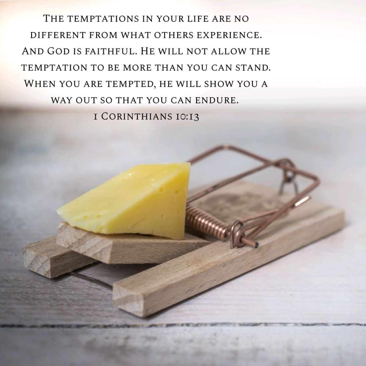 Trapped By Temptation?